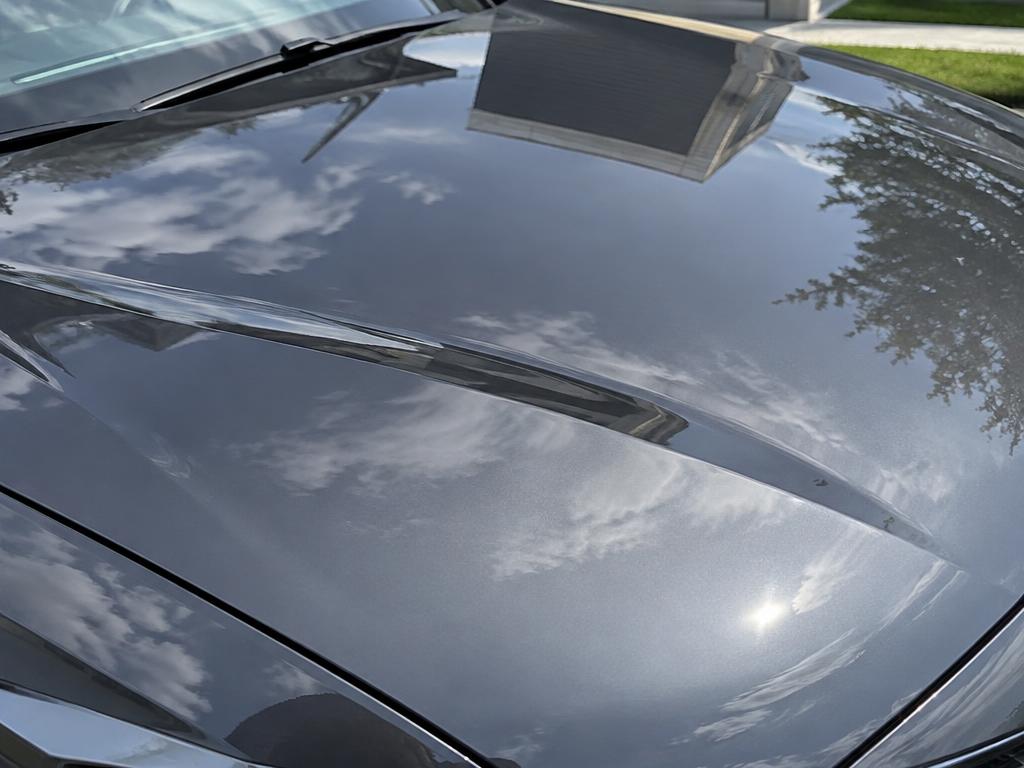 Paint & Wax